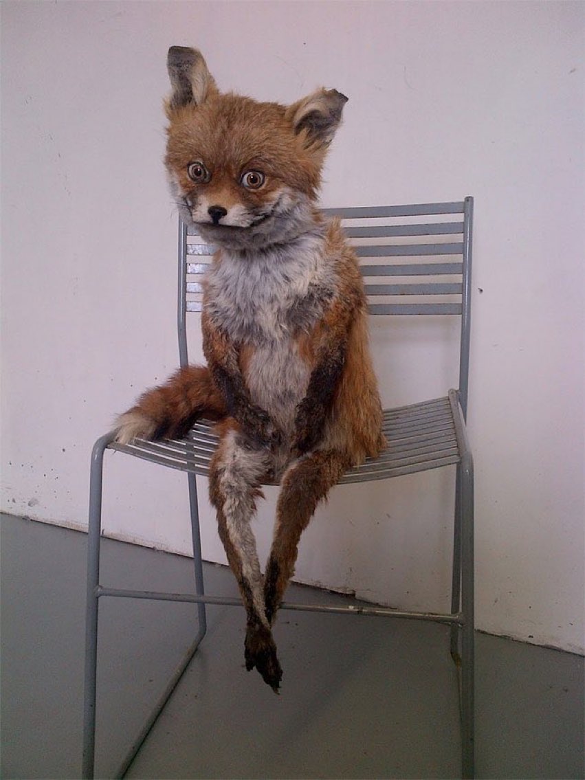 kaylatuarez's tweet photo. me patiently waiting for Sundays to roll around now that @euphoriaHBO is back https://t.co/r852tYsPxP