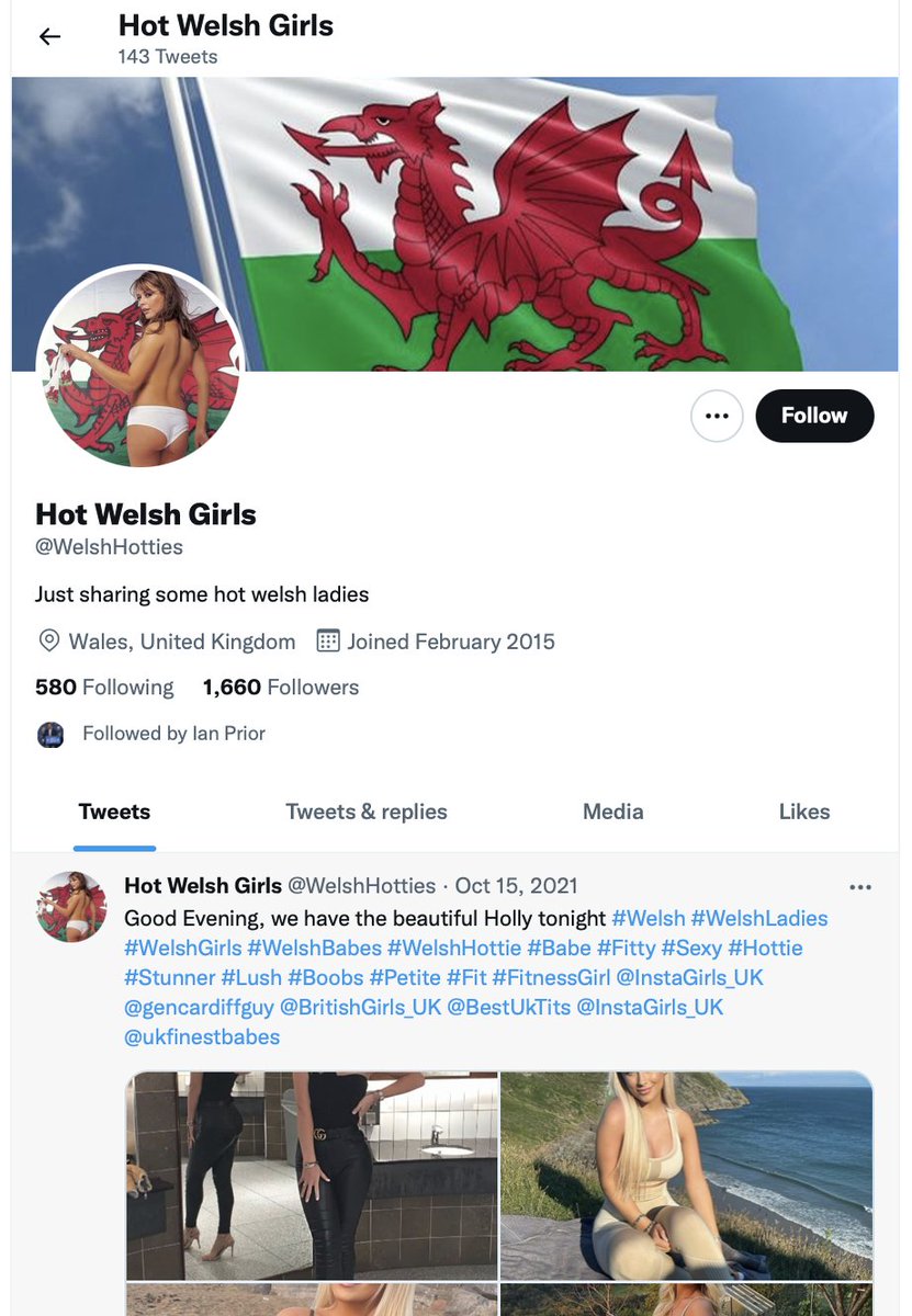 AltWhine's tweet photo. Do you ever check out the followers of those who are raging against the schools saying they have pornography in the library? They talk about "the children" and keeping girls safe in the restrooms. Then follow this? https://t.co/se0uTcWrGM
