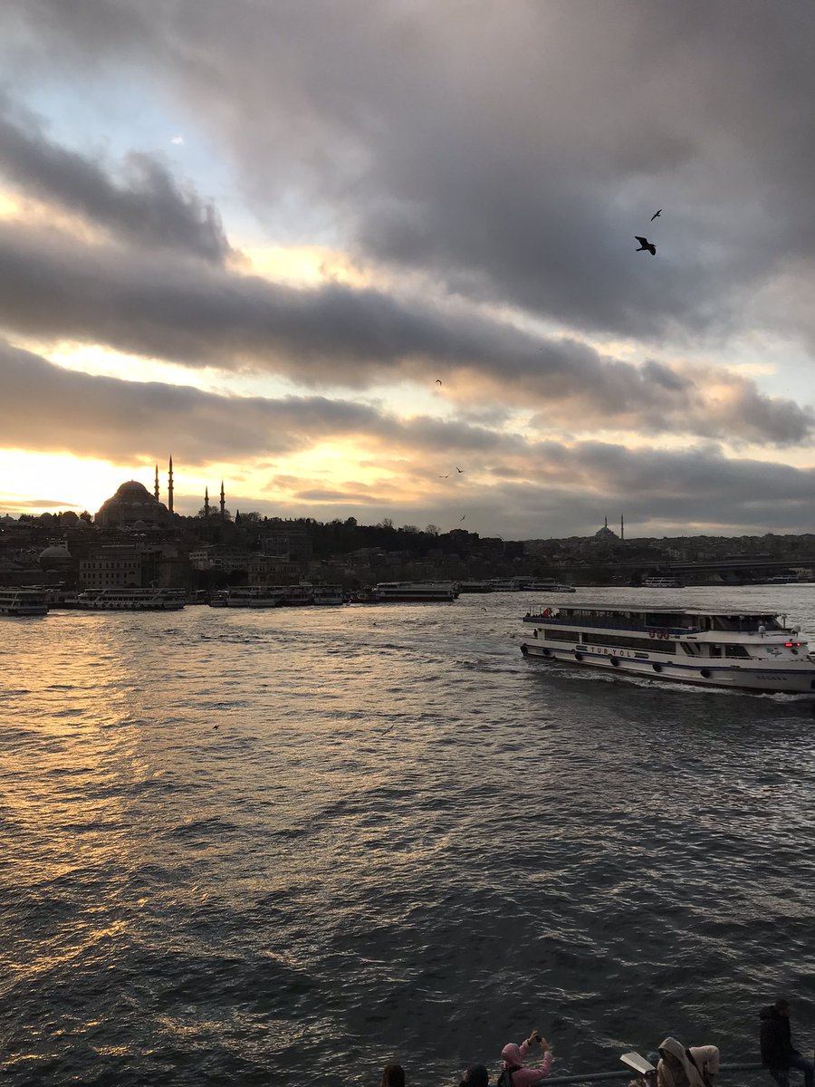beratbzkrtt's tweet photo. @nocontextkurd bê efekt 📸 https://t.co/DuibRxS322