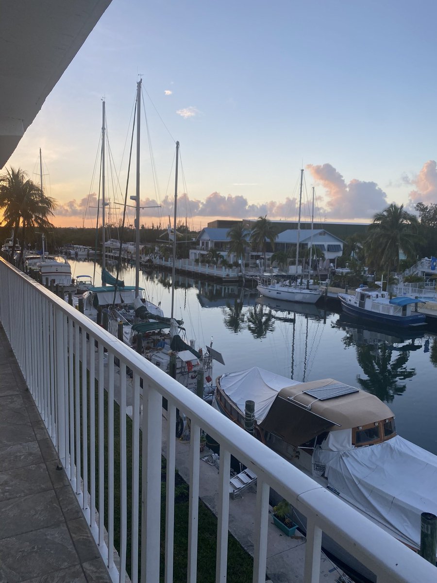 gixo_98's tweet photo. A week of lots of adventures &amp; beautiful weather🏝🐬 https://t.co/V19w7XlelX