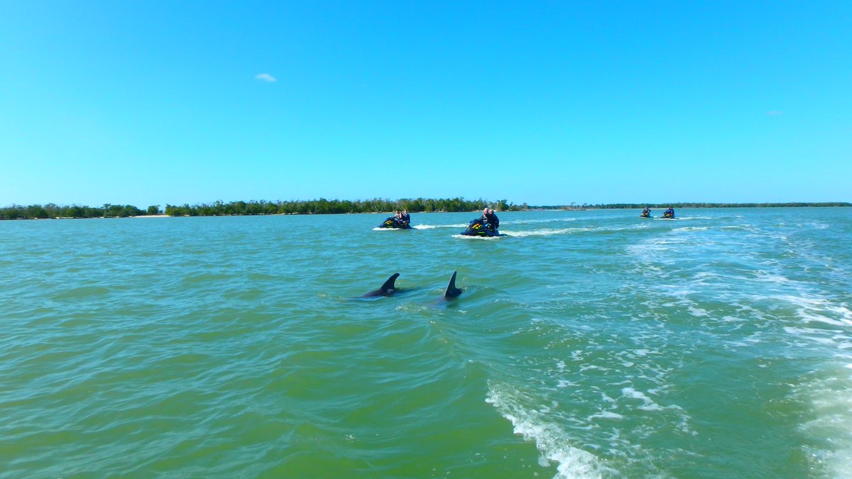 gixo_98's tweet photo. A week of lots of adventures &amp; beautiful weather🏝🐬 https://t.co/V19w7XlelX