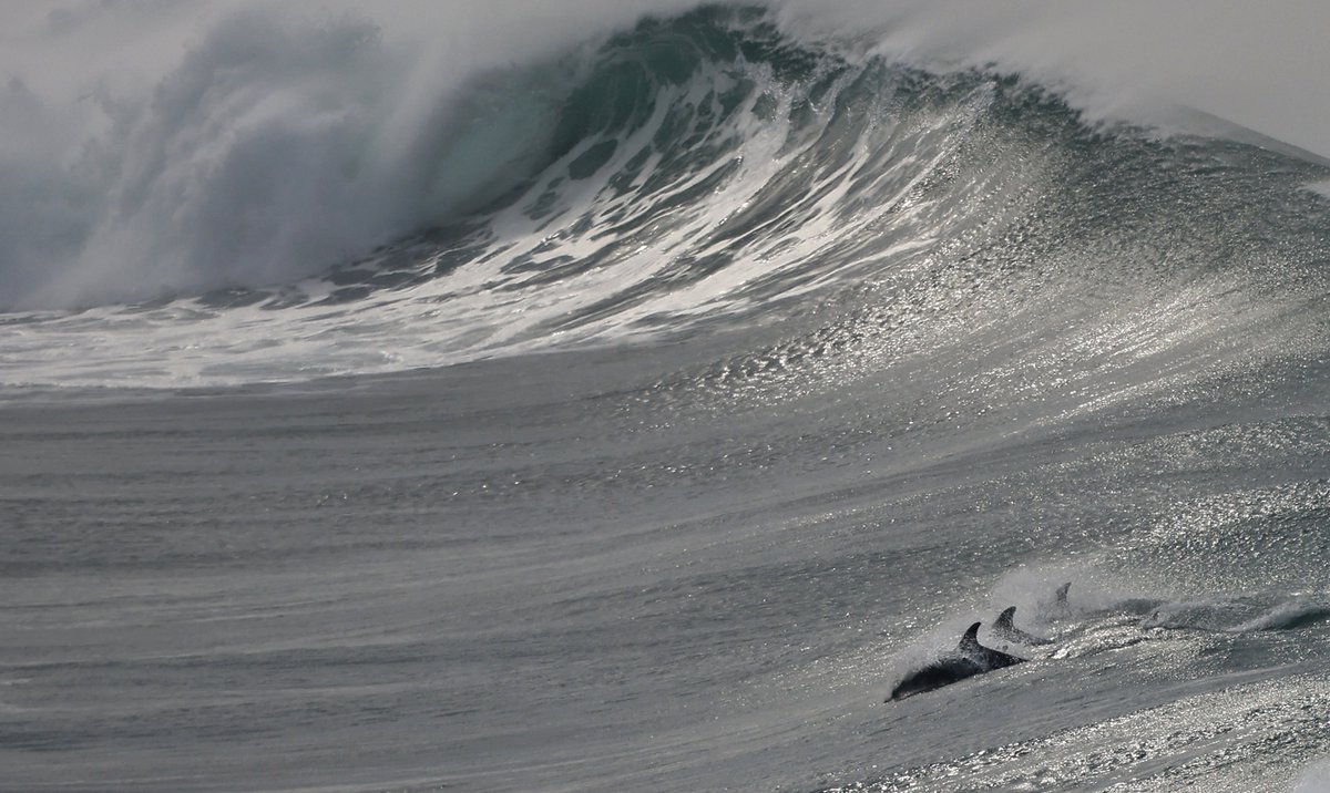 Kent Porter tweet media