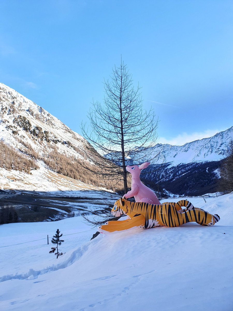 SavioWolf99's tweet photo. All three inflatables on the snow 💙🦘🐯🐺❄ 

@HorseplayToys 
@PuffyPawsToys
@InflateThemAll 

#inflatable https://t.co/u4j1zTKG34