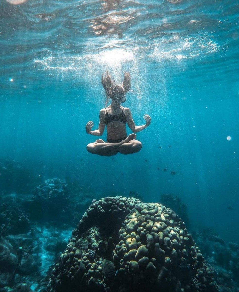Taking a deep dive in calm waters. Explore Saint Lucia's aqua marine life with unbeatable snorkeling and diving locations island wide.

 📸  <a href="/lala_lauren/">lalalauren</a> 
#TravelSaintLucia #LetHerInspireYou #Underwater #SaintLucia