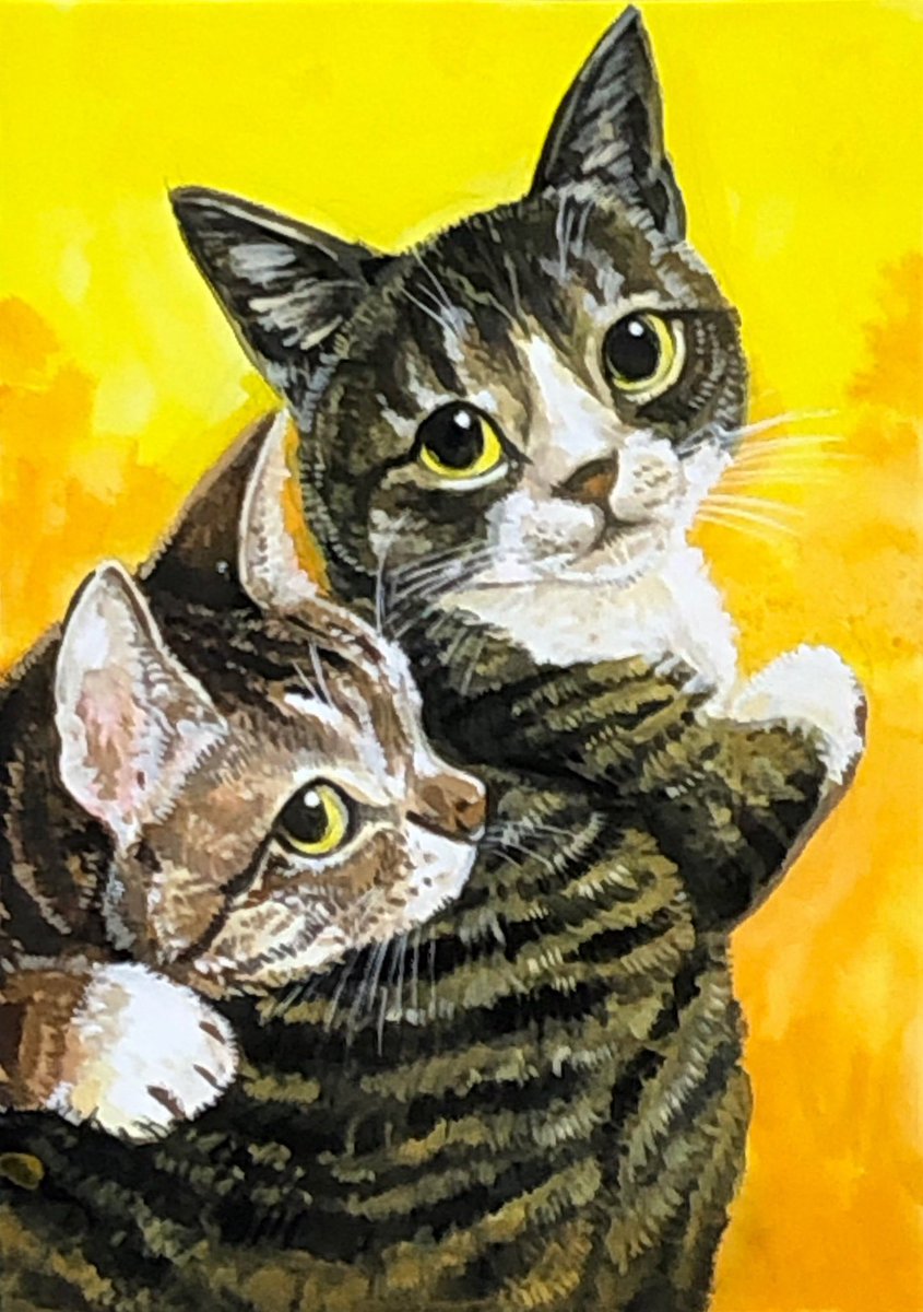 OniTatu99's tweet photo. 朝のニャンコ詰め合わせ🐾🐈🐈‍⬛✨🐾
おはようございます☀️☀️🌸🌸🌸
今日は、仲良しもふもふニャンコさんを集めてみました🥰🥰🐈‍⬛🐾
🐈🐾
#猫好きさんと繋がりたい https://t.co/9UFEuFaLwT