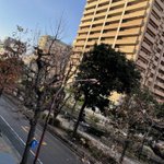 ツイートに含まれる画像
