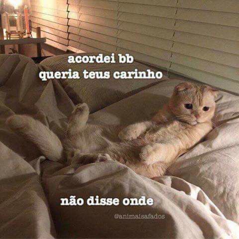 bilingerieluc1's tweet photo. Sabadou e hoje pode mandar essa para crush #vaiquecola https://t.co/NNACRv4oGN