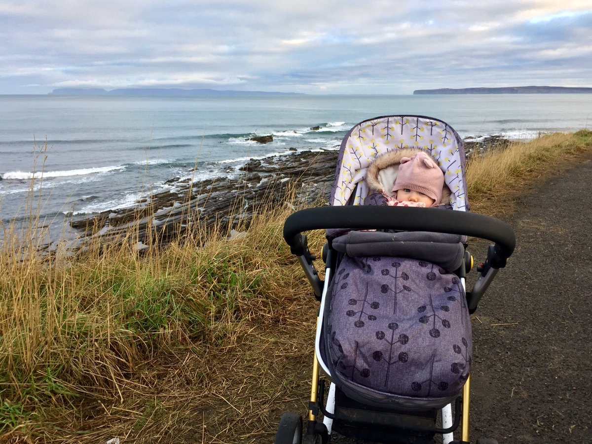 Magnus Davidson tweet media