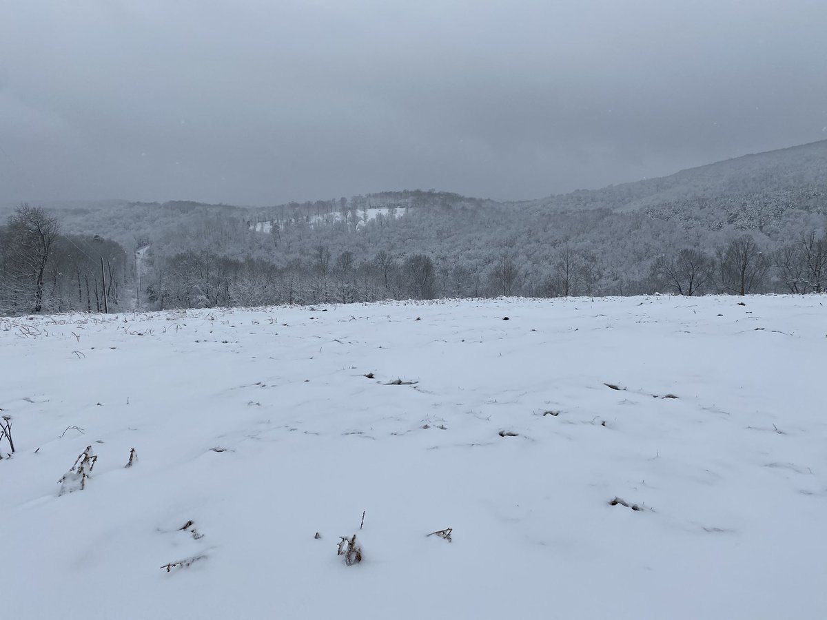 NatalieVice's tweet photo. @TWCAlexWilson @ReynoldsWolf  8” snow on Braden Mtn Marble Falls, AR https://t.co/ZjqPG80NBg