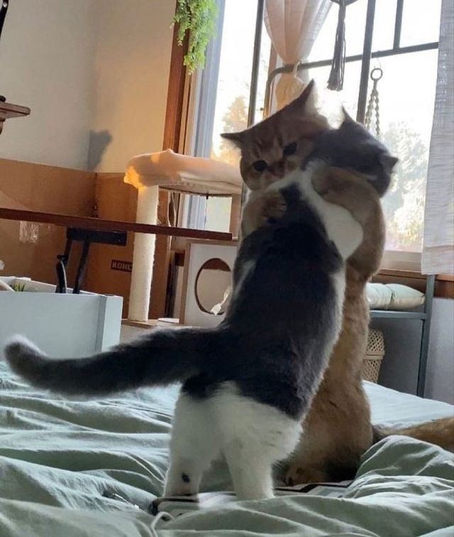 tumblr. (@theistumblr) on Twitter photo 