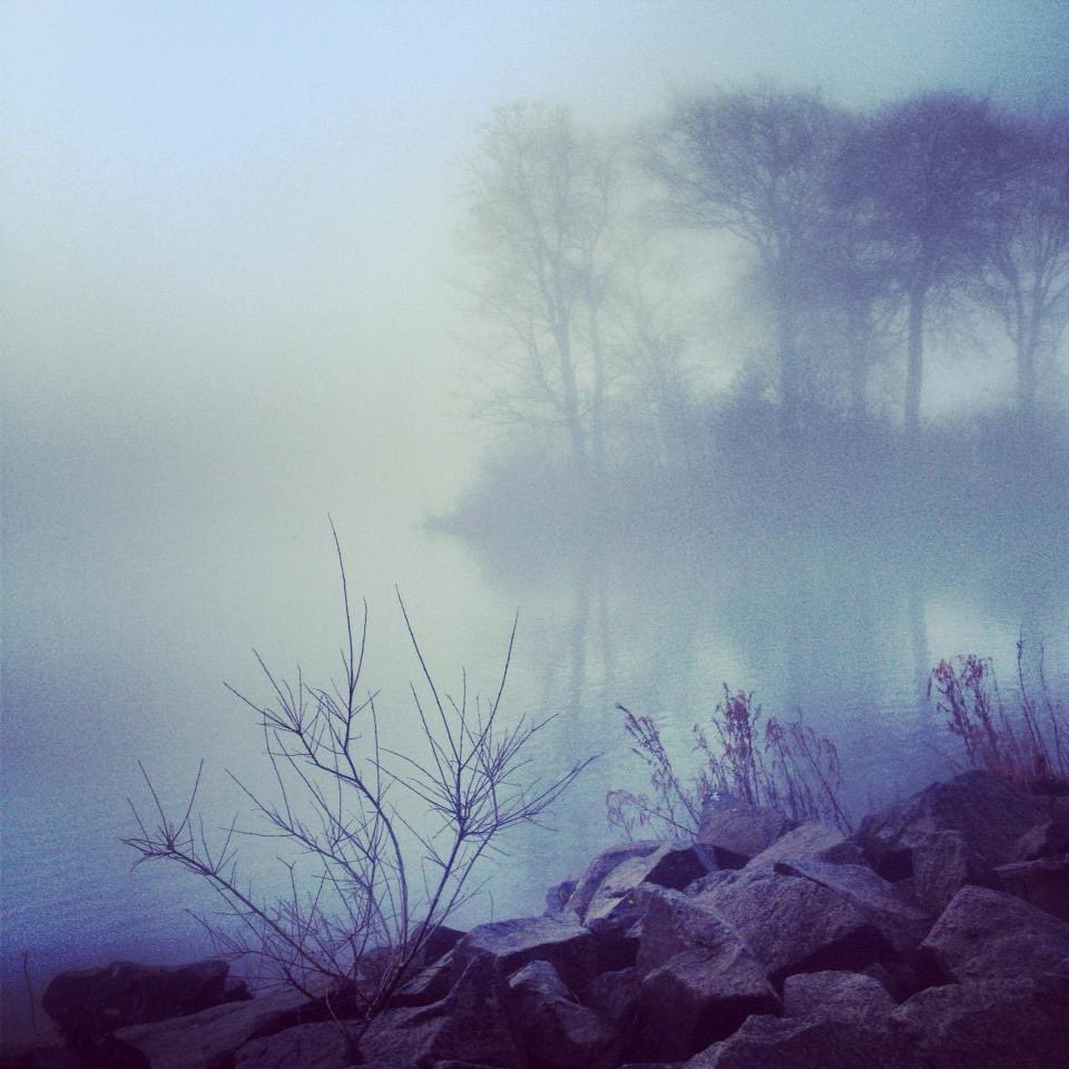 Audbod0412's tweet photo. This picture I captured 2 years ago pre Covid 😊motivates me to get my camera out again #eastkilbride #theloch #jamesheritageloch #stewartfield https://t.co/KxrBcla7R1