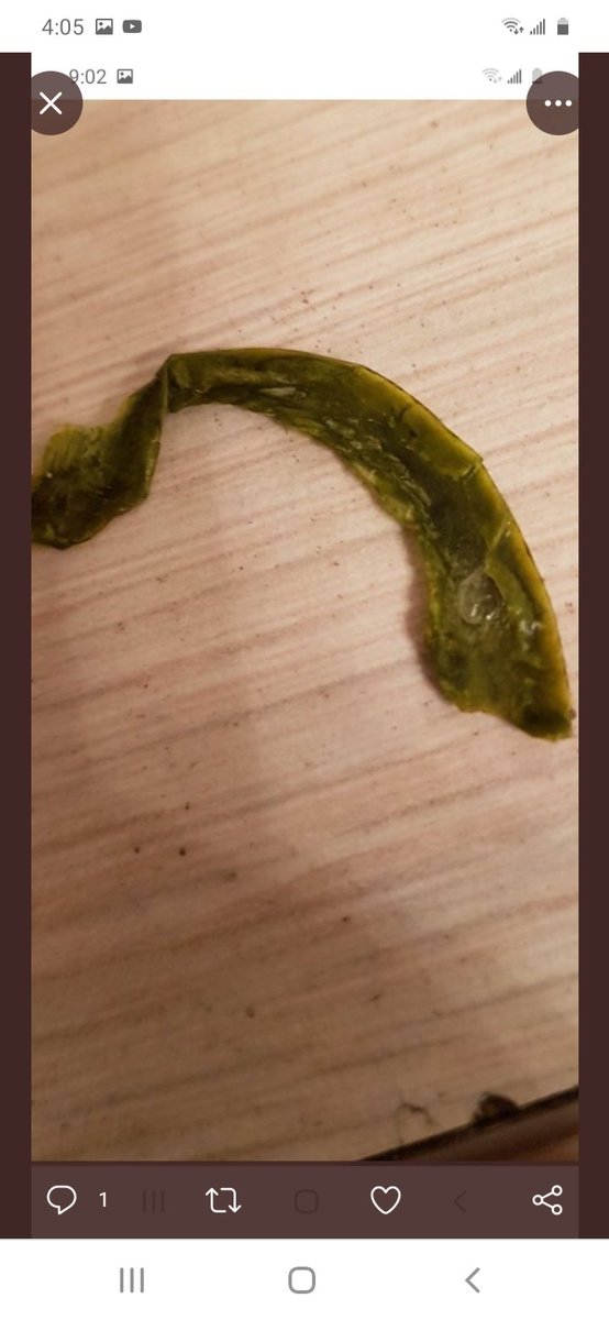 RichardMagill2's tweet image. I'm not a ufoologist, I'm the personal documentarian of ets. While you all were talking about ets, I was partying with them. They're really into arts and crafts.

#alienfish
#alienselfie
#realuappic

A free doc:
youtu.be/QM94yj770TI