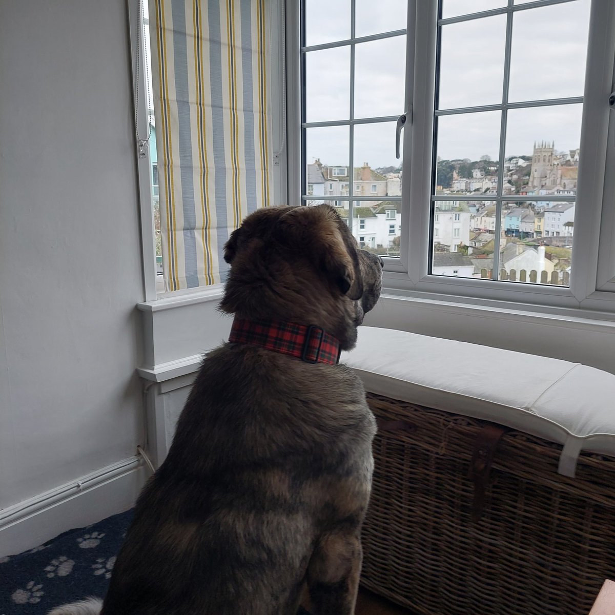 Me on my holibobs in Brixham.... looking out at the lovely harbour..... what a lovely place