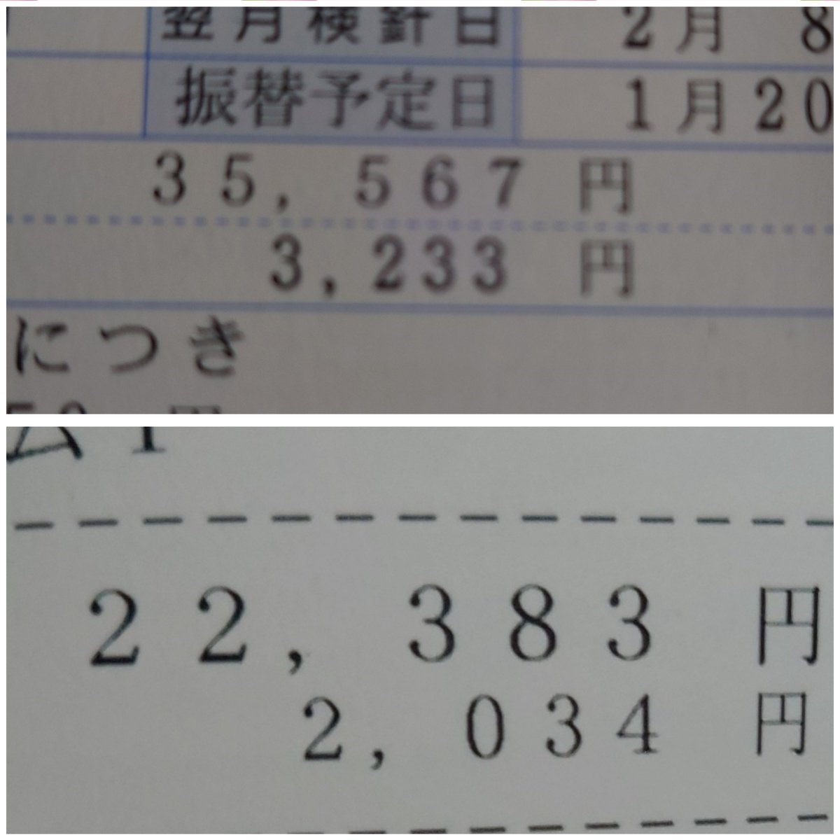 犬猫 最新情報まとめ みんなの評価 レビューが見れる ナウティスモーション 14ページ目