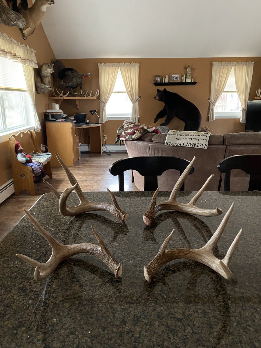 2022 shed season starting off strong. My wife and I are at 10 browns combined, including a few nice matched sets. Their dropping early this year but many still holding.