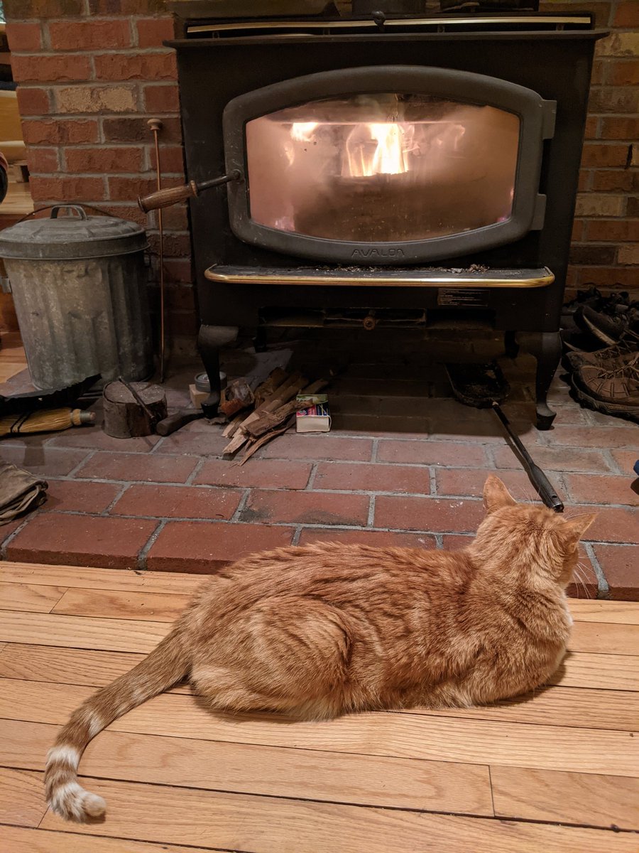 WCAX_Cat's tweet image. This is the only way to spend a day as cold as this one is: #notmycat