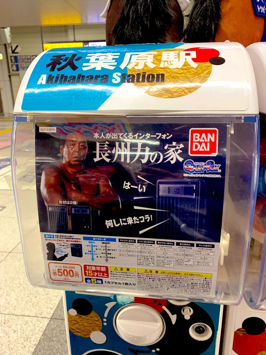 なんでこれが！？「長州力の家」のガチャガチャwww