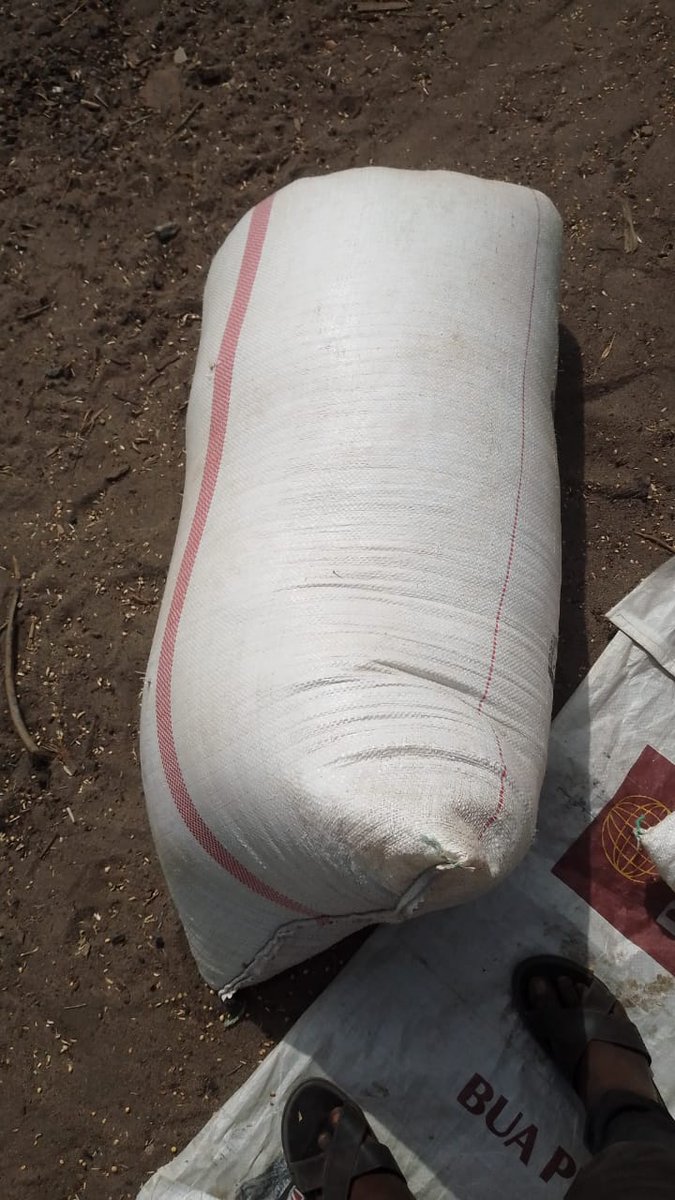 benjamin_export's tweet image. Soybeans