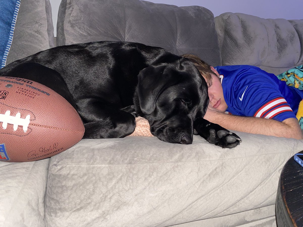 TracyWaring's tweet photo. @BuffaloBills @KyleBrandt When you’re nervous before the big game, grab your football and puppy and take a quick nap. #LetsGoBuffal🏈 @WaringOwen https://t.co/pXqULNE0M3
