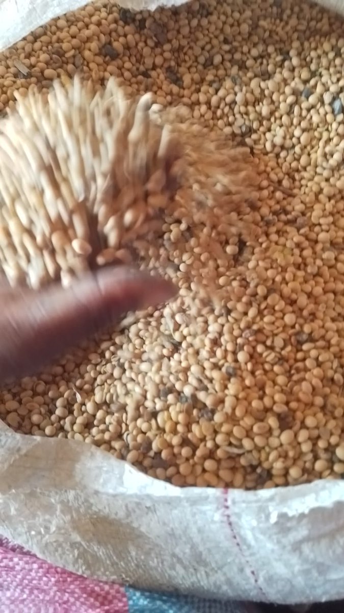 benjamin_export's tweet image. 