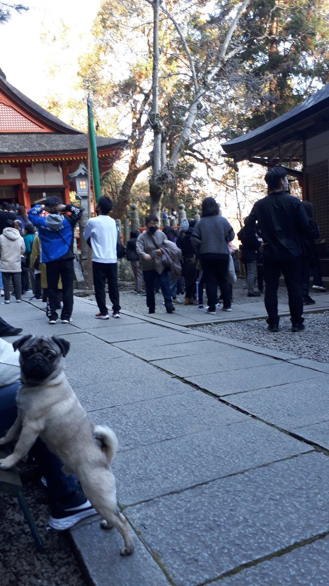 satolruuu's tweet photo. 『厄が在れば福は来ない』

厄除けで厄を除き
神社で福を入れ、お寺で信心する

人は無力

『恵まれない人は生きるだけで修行』

修行信仰によって「弘法大師」に近づき

引いてしまった「末吉」の多難な一年を

一人で立ち向かう

弘法大師は『力』になってくれると信じて

#與田寺
#金比羅宮
#善通寺 https://t.co/VrLr3ebhXr