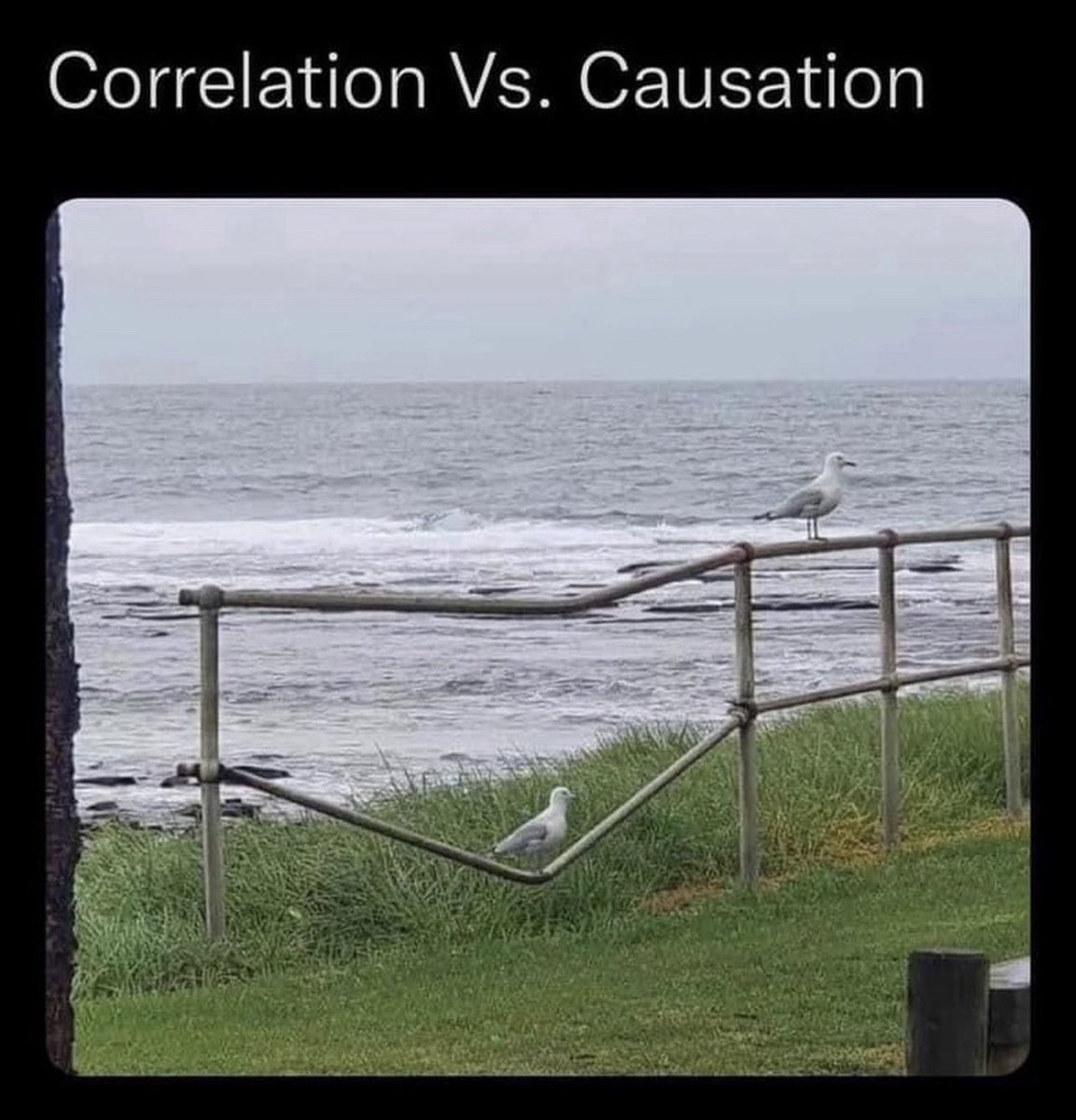 Scientific communication at its finest 😊