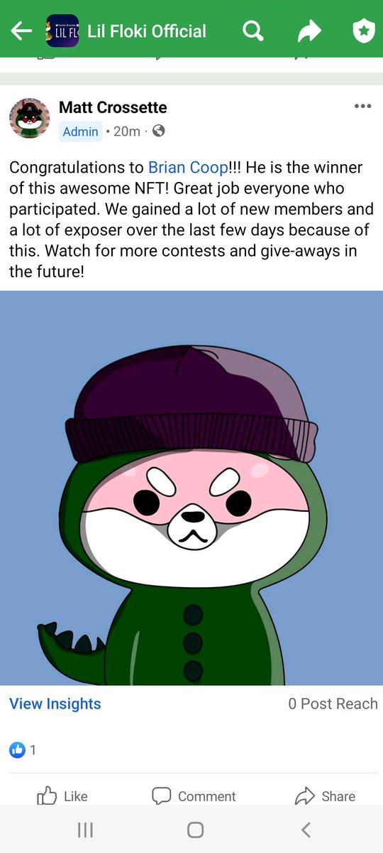 Lil Floki tweet media