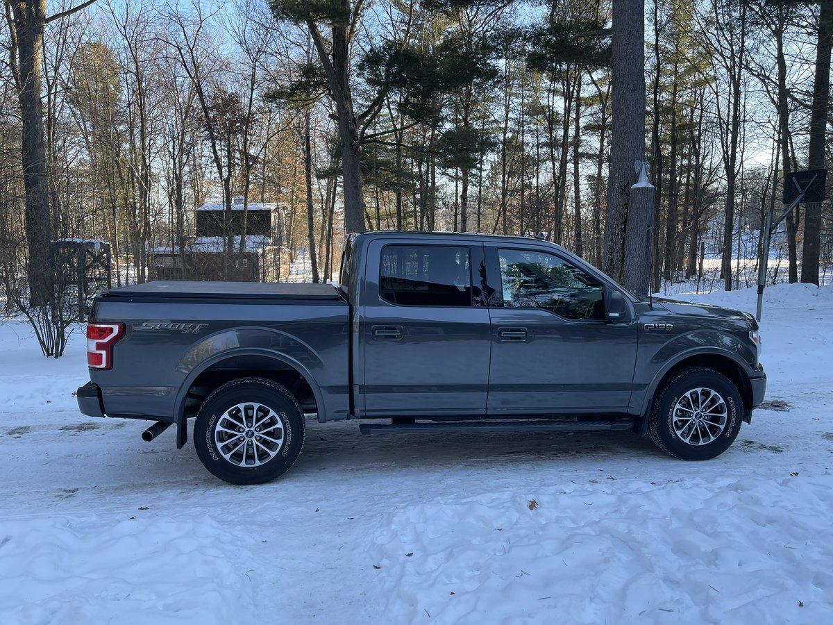 Matt Forrest tweet media