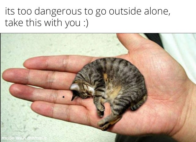 WholesomeMeme's tweet image. 