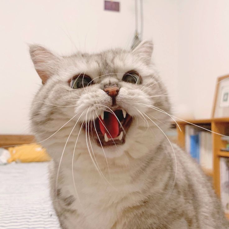 😆
#Jungsu #정수