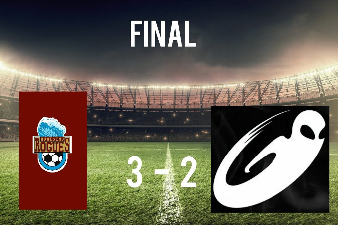 Northern Michigan Faux Football Leagues tweet media