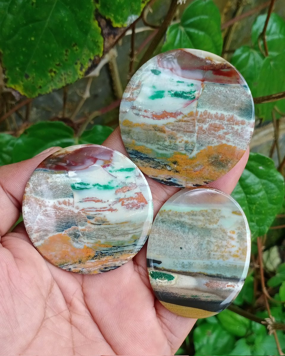 faresh28464817's tweet photo. 3pcs cabs petrifiedwood
Interested please send me
Whtsapp me +6285871509007

#cabochon #cabs  #Pendant #mossagate #jewelrydesign #jewelry  #colektor #Tucson #Crystal  #Crystal #crystallust # https://t.co/rWqYI4mx3x