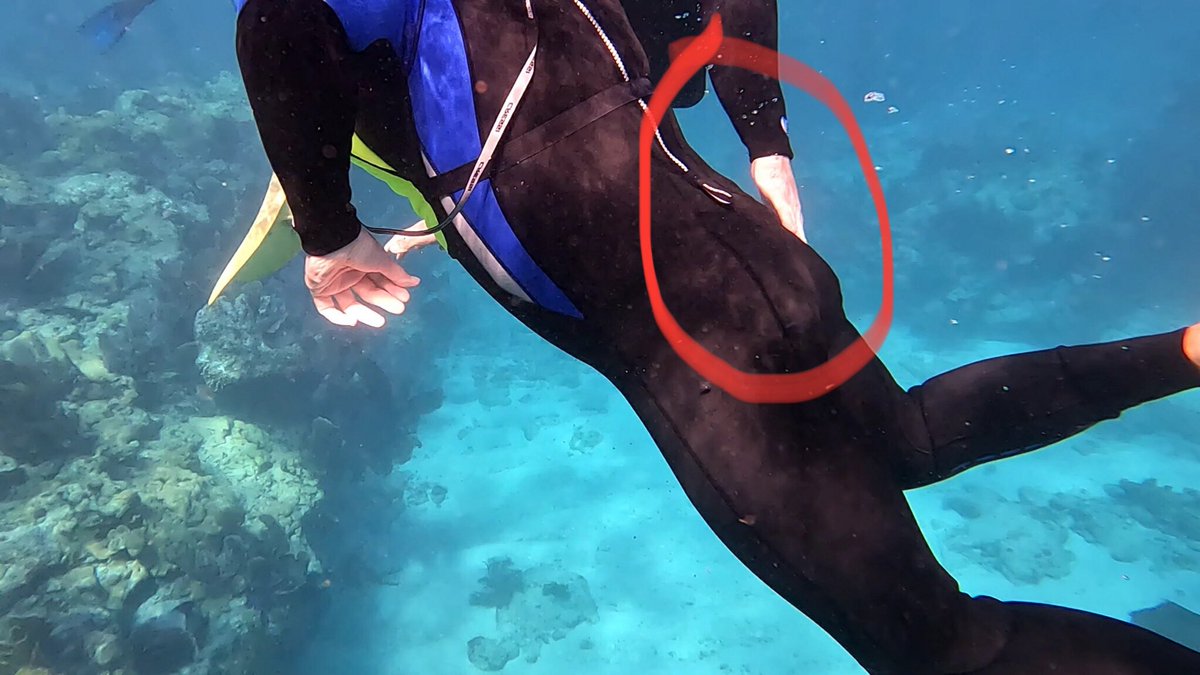 crabpitt's tweet photo. Might have slapped @brewing_jeff ‘s ass while snorkeling today 😬
#notsorry #brewingfear #keywest https://t.co/o8sHkYhsCR