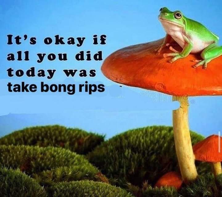 Hippie_of_Love's tweet image. It is.....true story