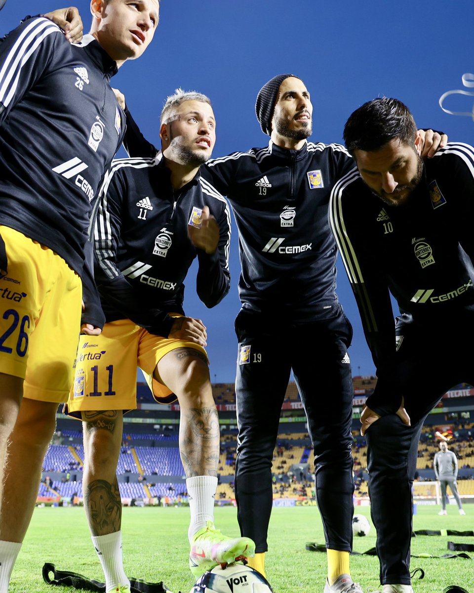 TigresOficial's tweet photo. 👉🏼 Mente, fuerza, garra y corazón 🧠 https://t.co/l4CcgDS5Os