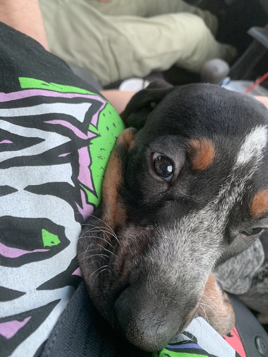 Toaster Strudel 🥐 tweet media