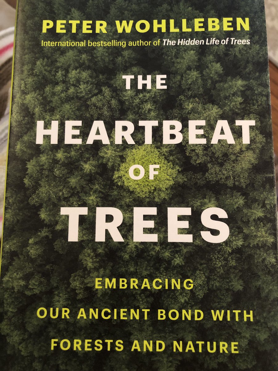 Caroline Little tweet media