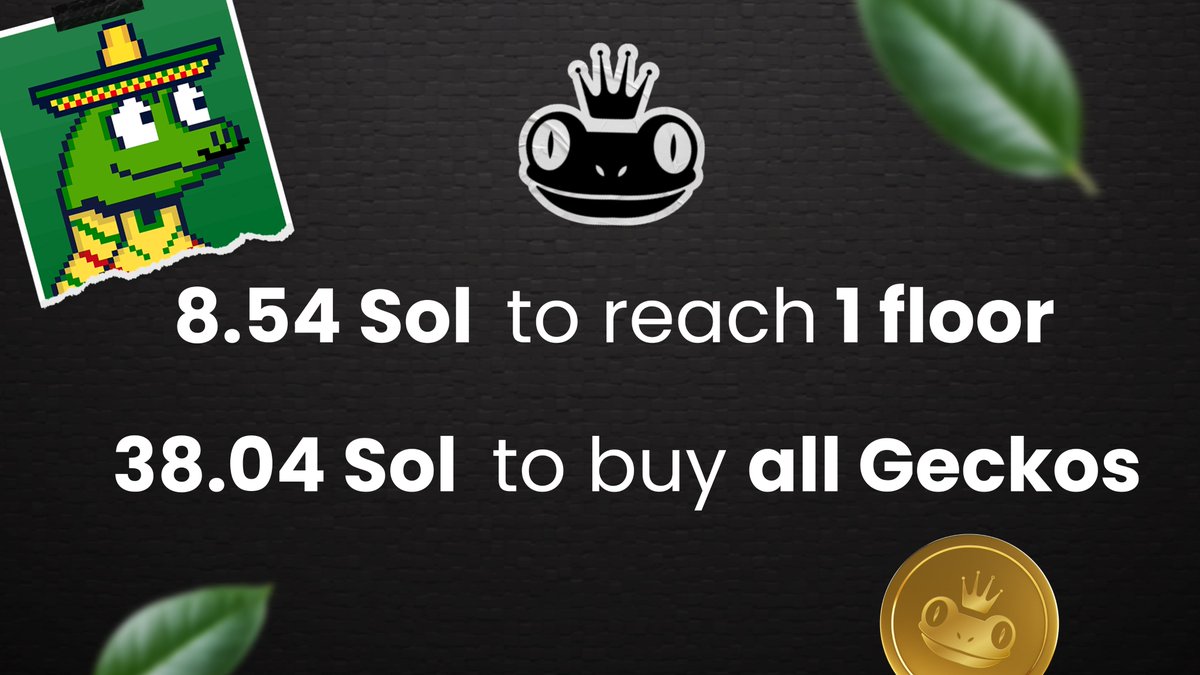 Glorious Geckos 🦎 tweet media