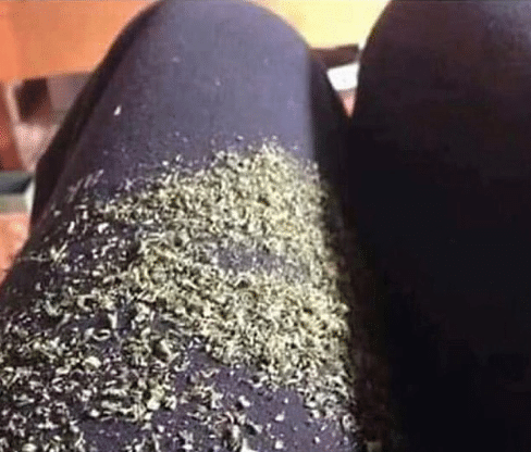 HighDamion🍃 tweet media