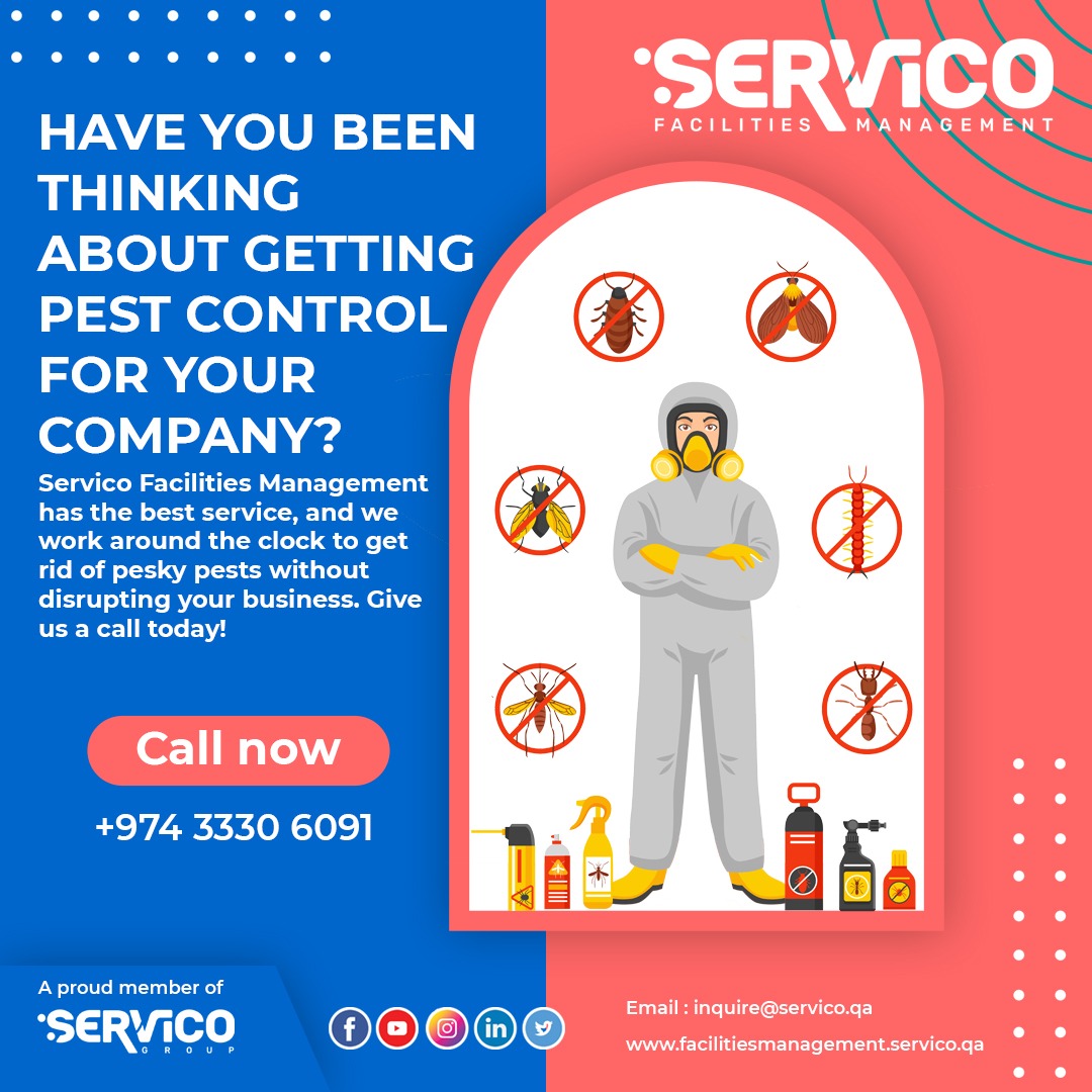 Servico_FM's tweet photo. Servico Facilities Management is the best pest control service provider for you! 
We are able to get rid of any pests or rodents before they even have a chance to do any damage. 
 Call us today! +974 3330 6091
#PestControlService #ServicoFacilitiesManagement #ServicoGroup https://t.co/V3eViK4U5q
