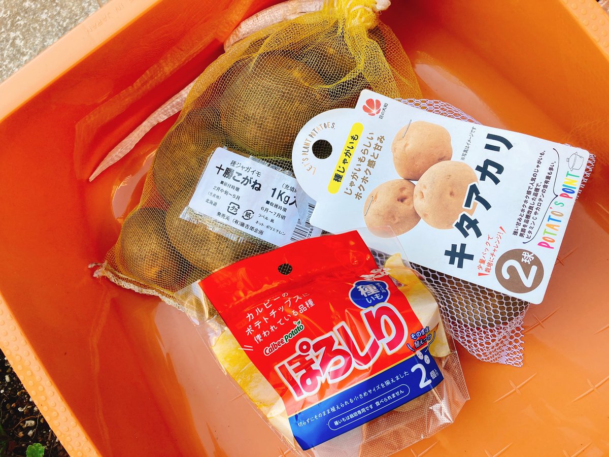 ポテチ 画像 最新情報まとめ みんなの評価 レビューが見れる ナウティスモーション 8ページ目