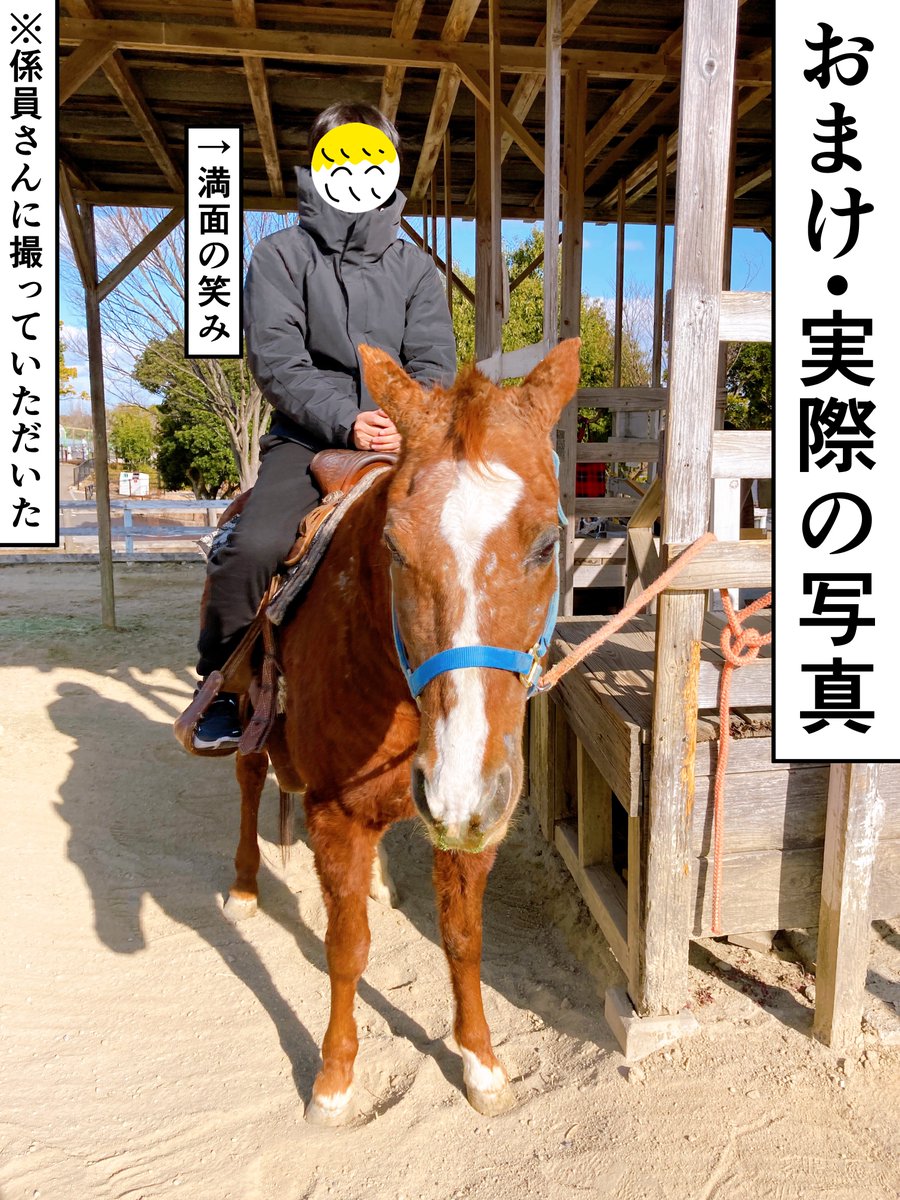 ウマ娘にハマってお馬に乗った話 