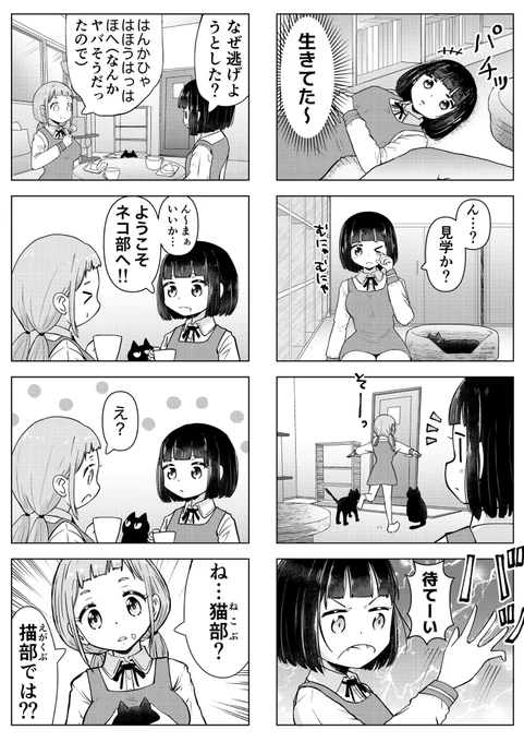 【創作4コマ】「ねこぶ!」(2/3)

#猫漫画 
#百合漫画
#百合
#創作百合
#GL 