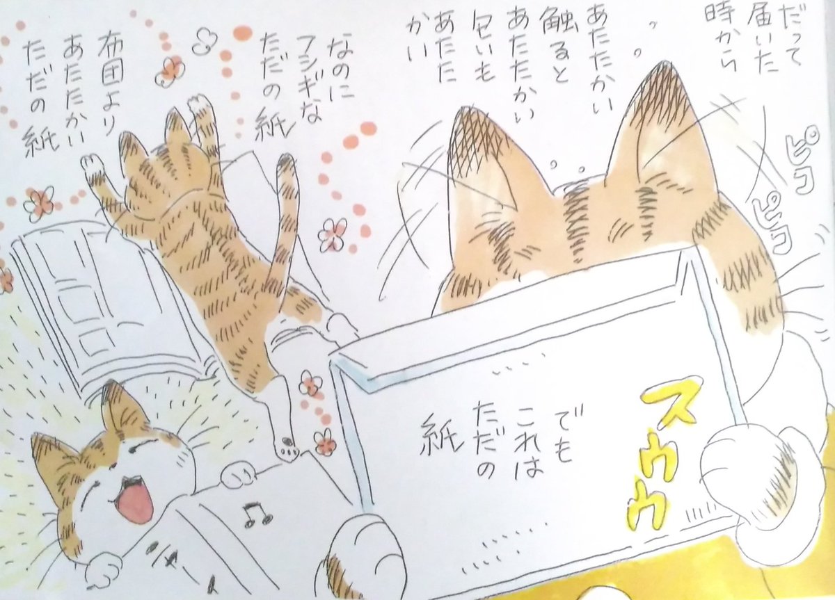 深谷かほるせんせいからのお便りの
返事にと描いて贈った
お礼手紙猫絵本です。
#猫
#猫絵本
(続く) 