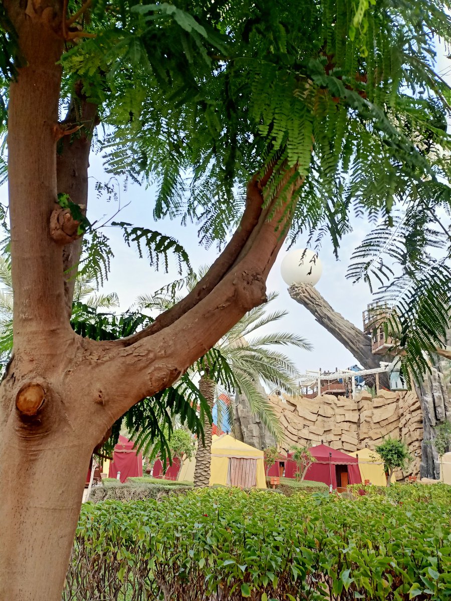 Pretparkhopper's tweet photo. #yaswaterworld Abu Dhabi #themetour https://t.co/mgZvyCHySj