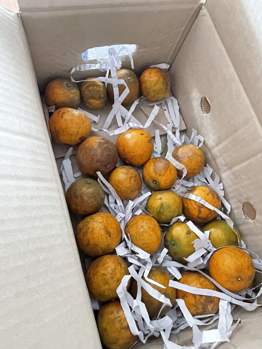 #จีซี | JJSRKX tweet media