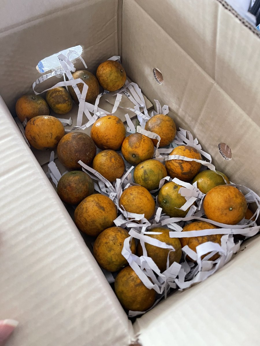 #จีซี | JJSRKX tweet media