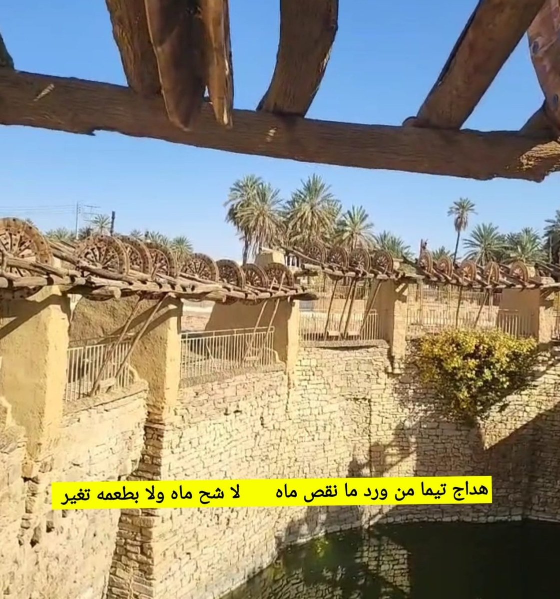 MANSOURALJABRAY's tweet photo. #تيماء واحة عريقة ضاربة في جذور التاريخ، غنية بتراثها، سامقة بنخيلها 
من هداج تيماء شيخ آبار الجزيرة بعد زمزم. إلى الأبلق الفرد رمز العز والوفاء ، ثم حصن الرمان فقلعة الحمراء.
سعدت فيها برفقة الصديق سعد  الظاهر العنزي، والخبير السياحي عبد العزيز الشمري https://t.co/YW7UhiJEXd