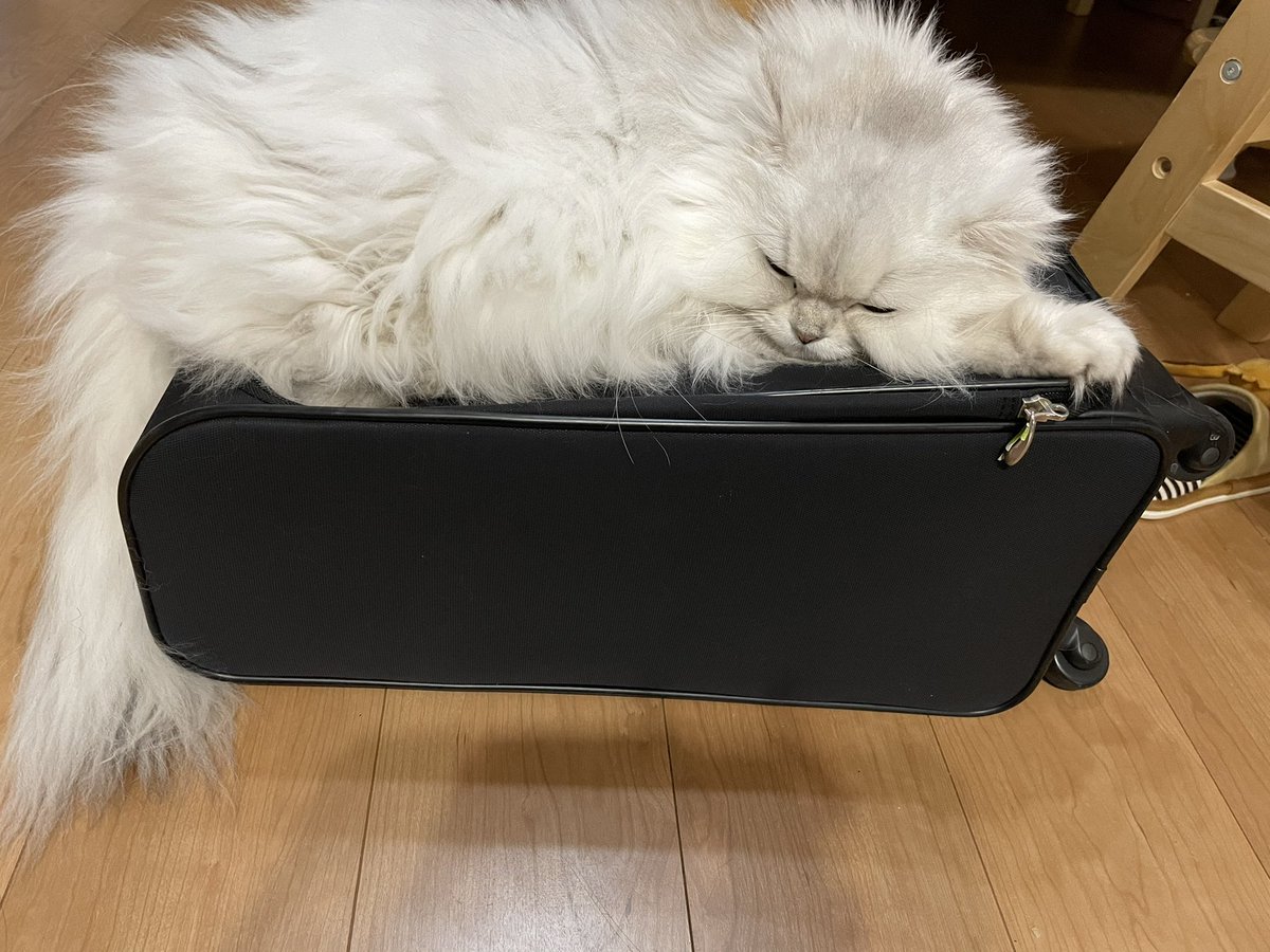 片付けたいけど気持ち良さそう