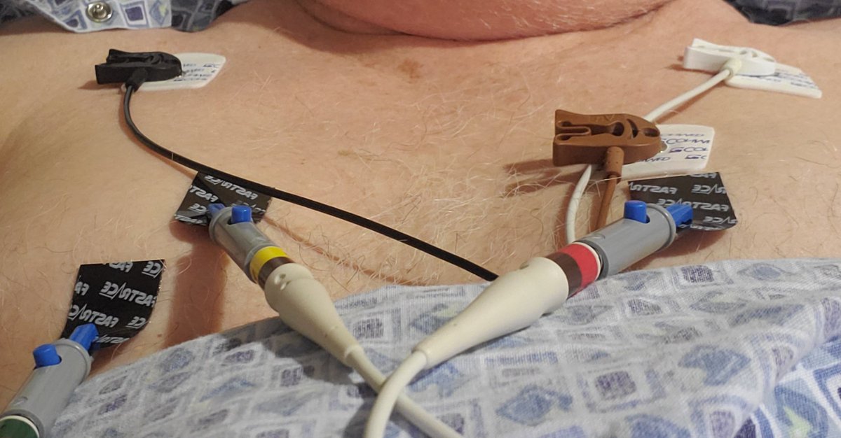 Donnie Wilkie tweet media